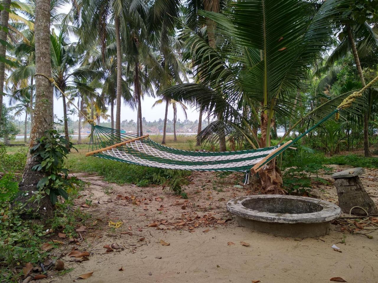 Blue Birds Homestay