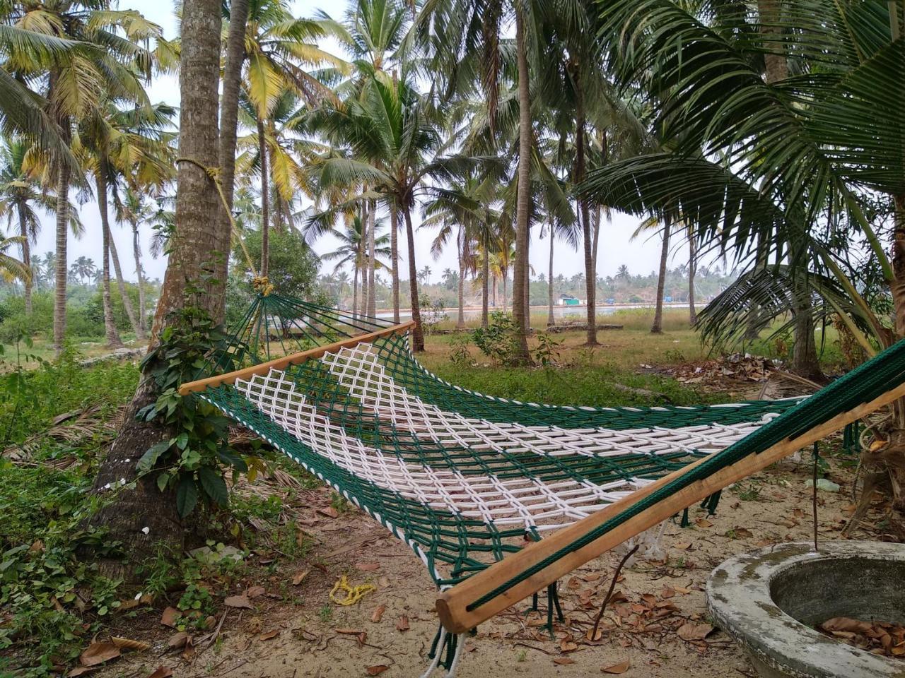 Blue Birds Homestay