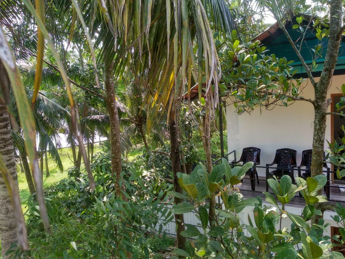 Blue Birds Homestay Cherai Beach
