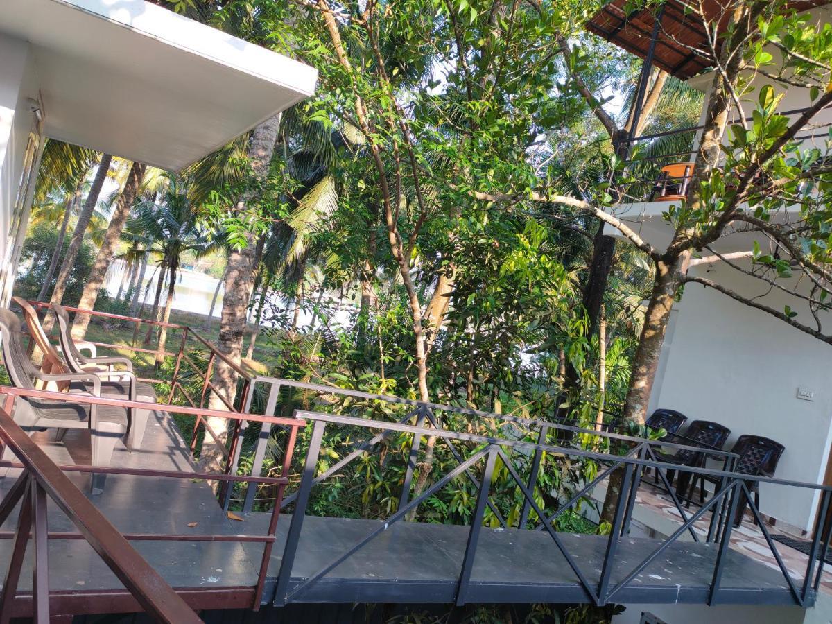 Blue Birds Homestay *